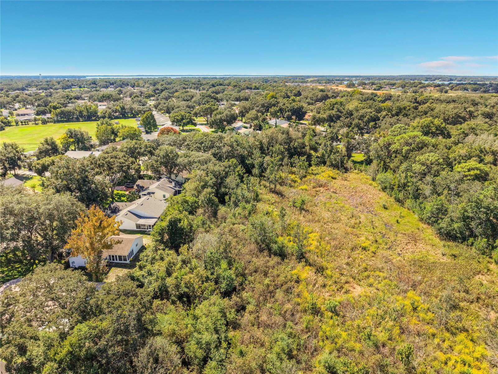 1706 ORKNEY DRIVE, Leesburg, FL 34788