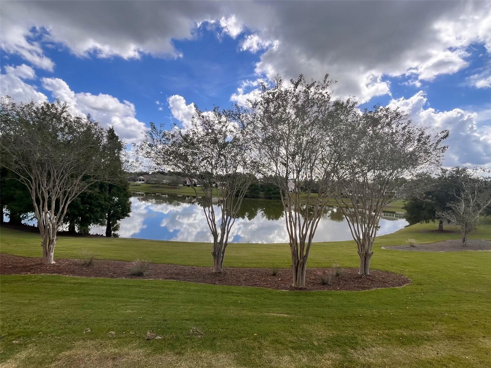 Panoramic Elevated Water View Panoramic Elevated Water View