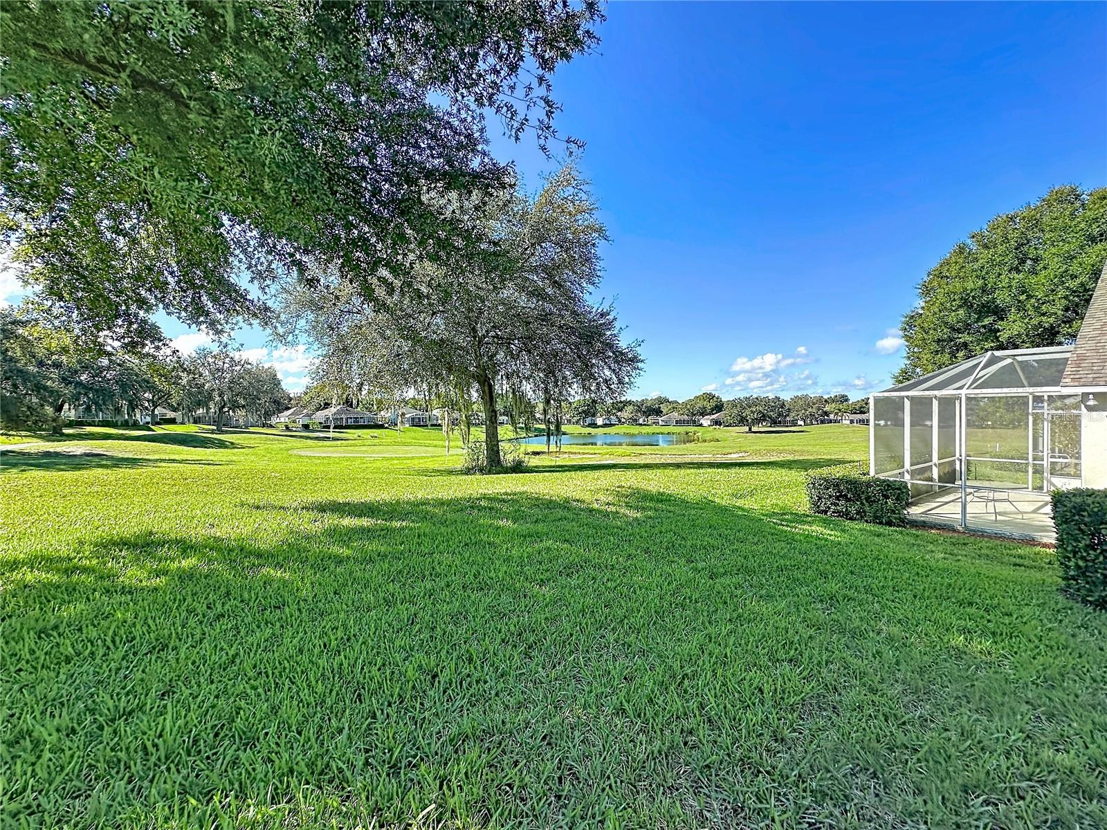 Backyard Golf Course & Pond View