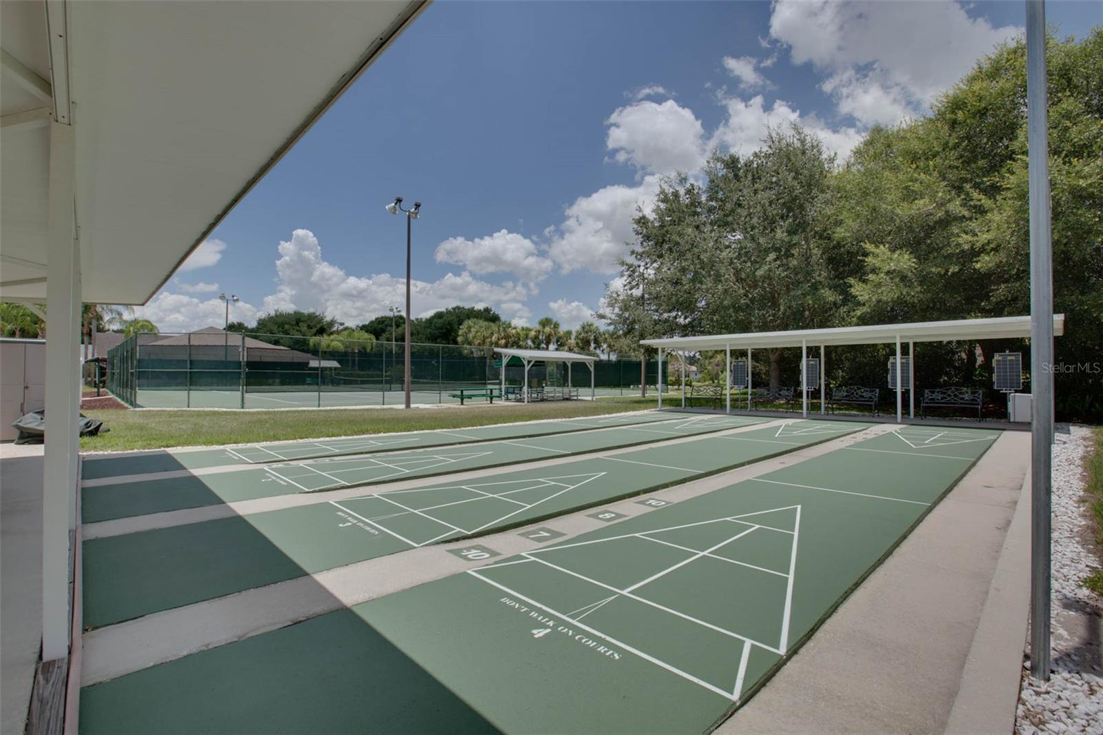 Shuffleboard
