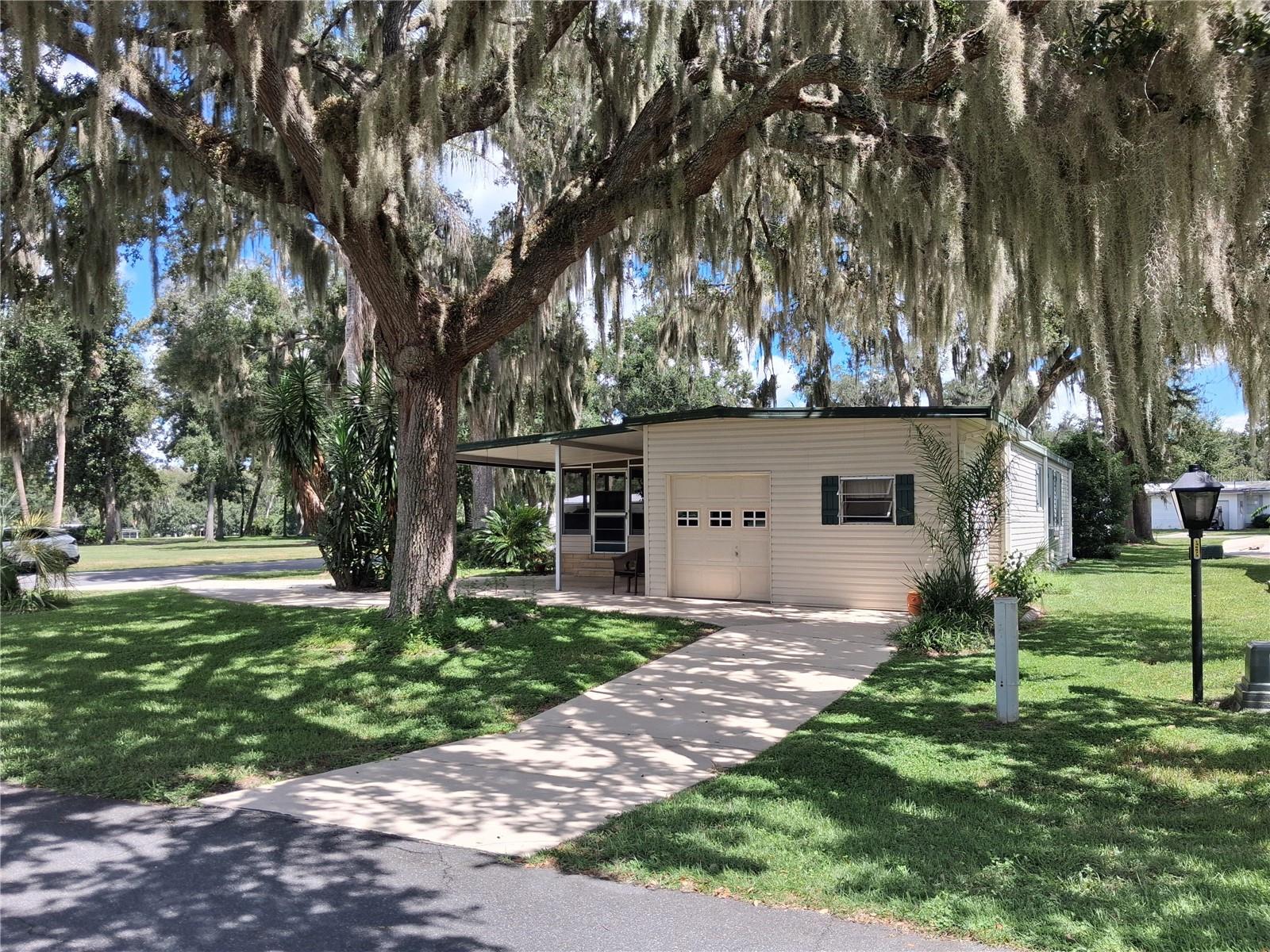 38 N BOBWHITE ROAD, Wildwood, FL 34785