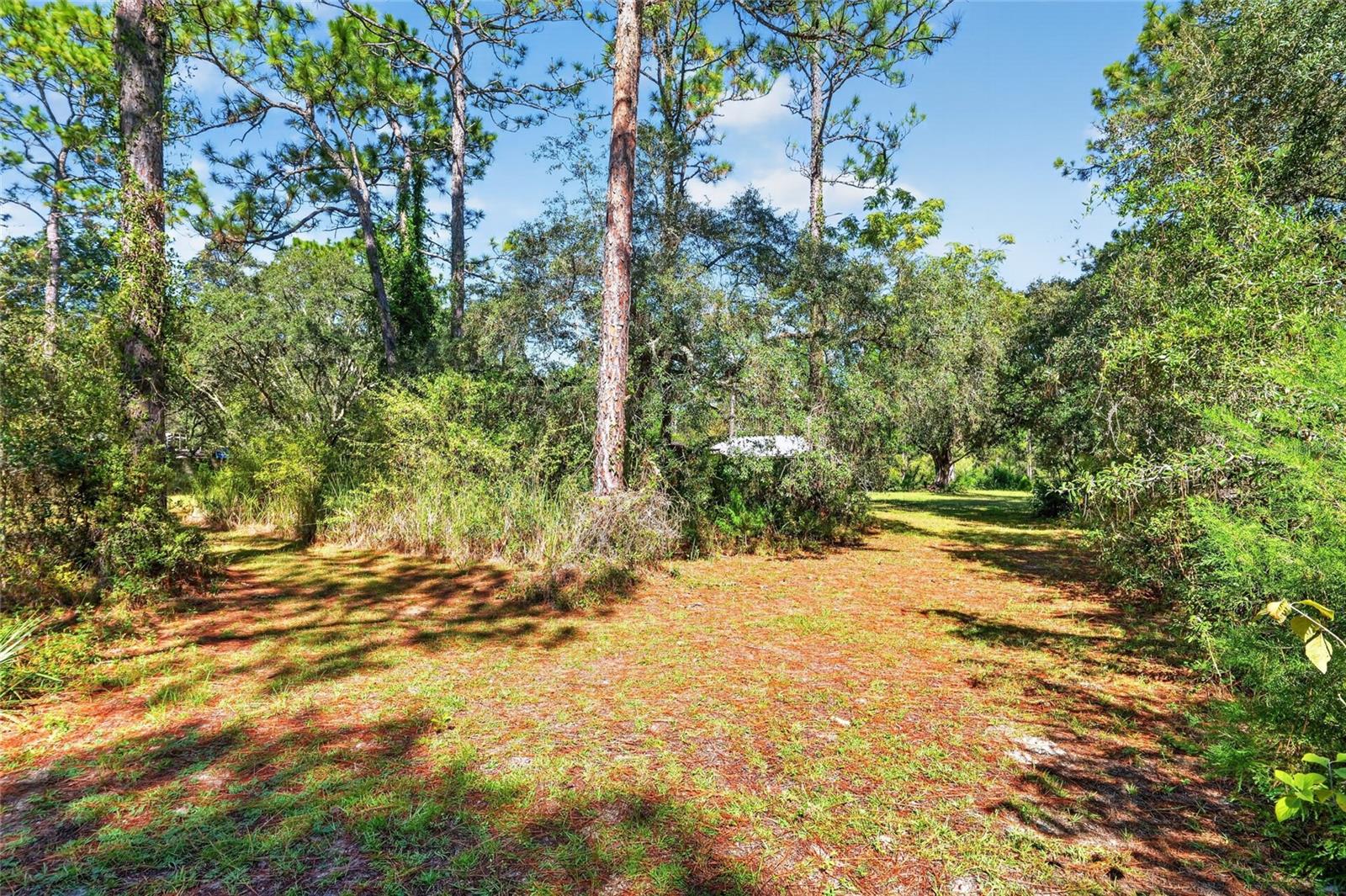 8680 N MEYER SQUARE, Dunnellon, FL 34433