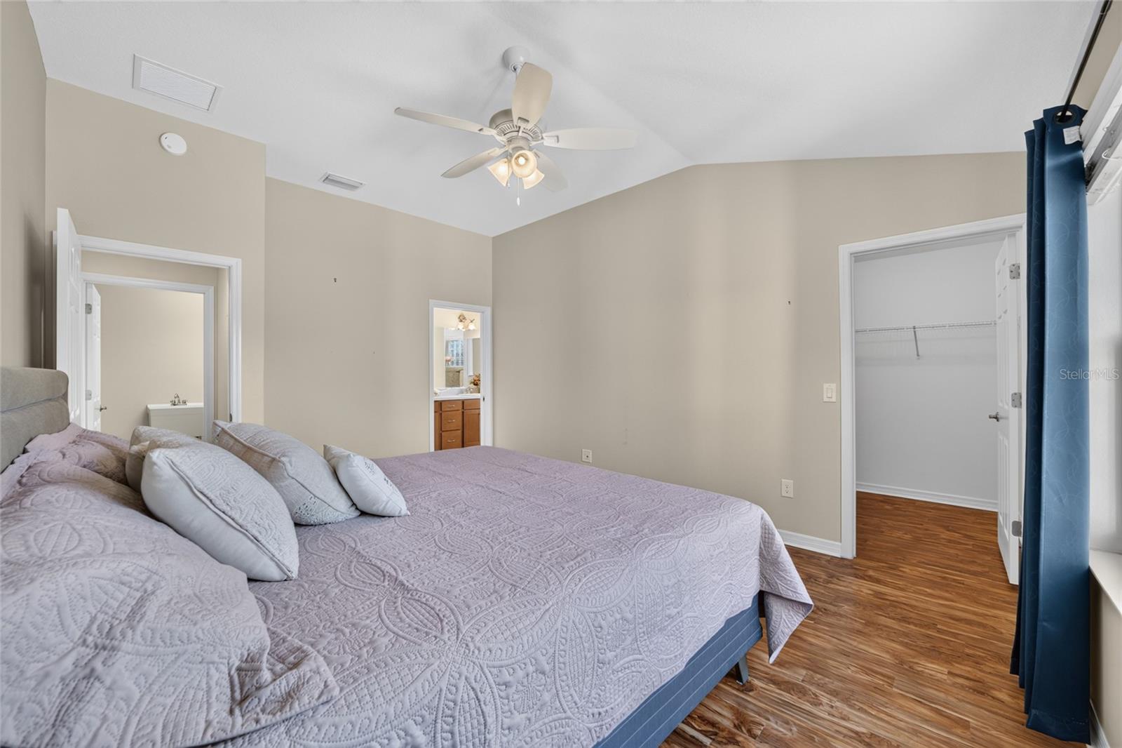 Ceiling fan with light