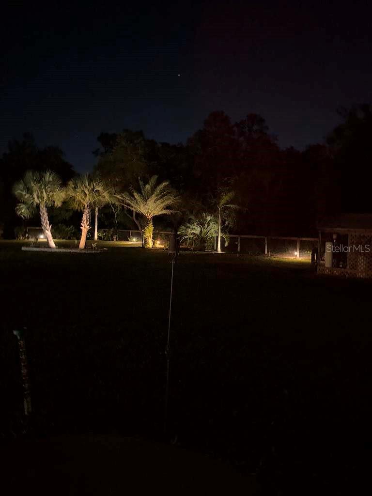 Night Landscape
