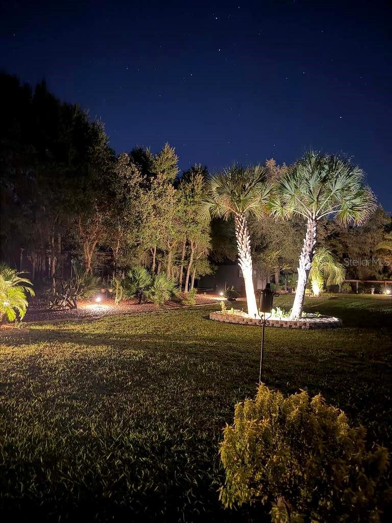 Night Landscape