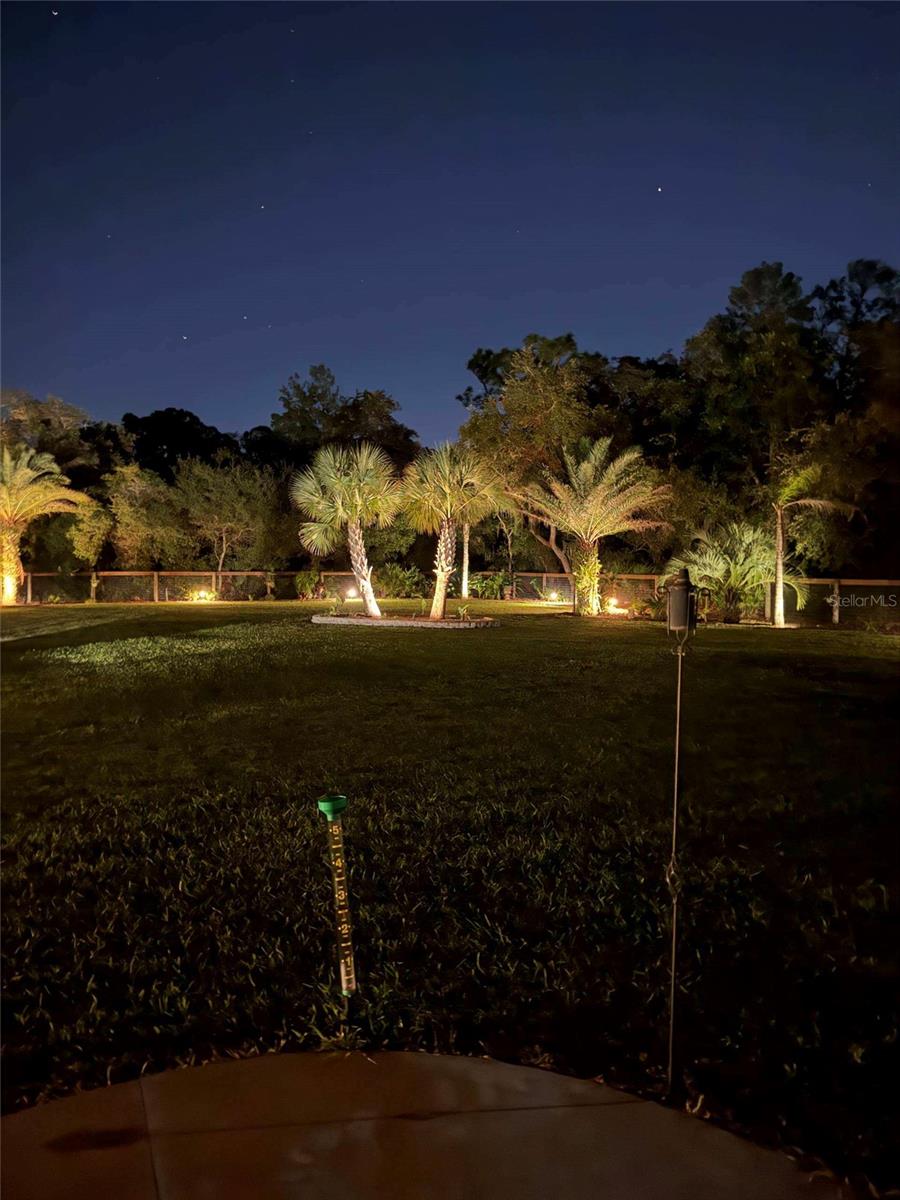 Night Landscape