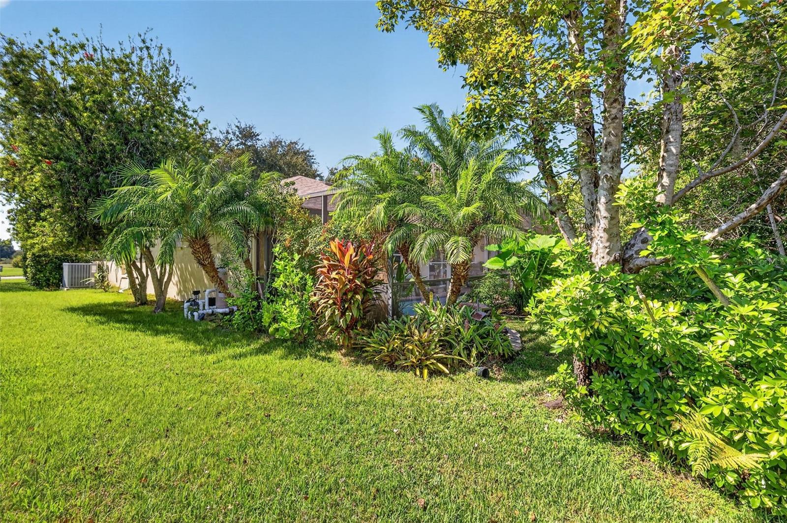 Side Elevation with Tropical PRIVACY Landscaping!
