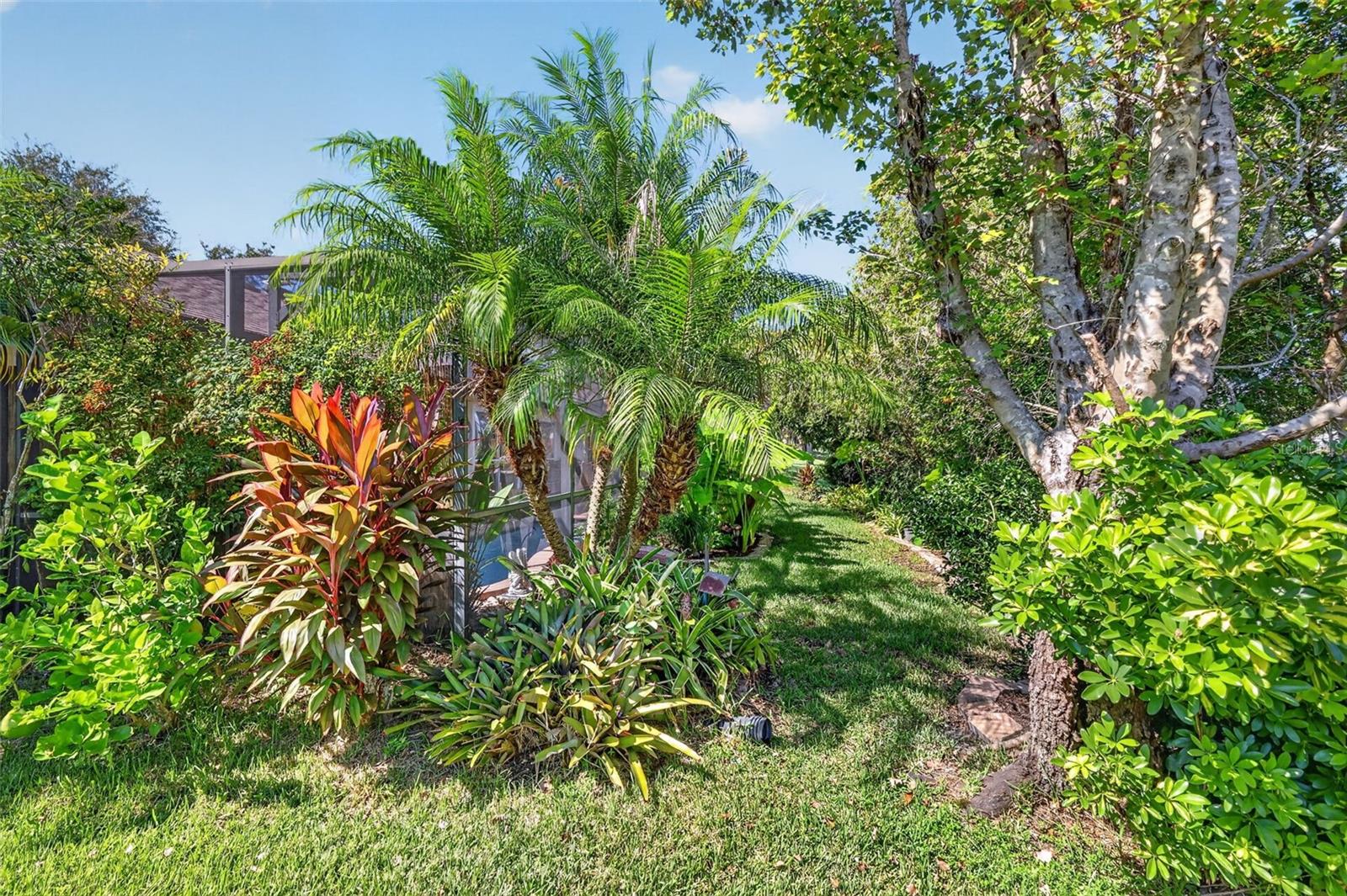 Rear and Side Elevation with Tropical PRIVACY Landscaping!