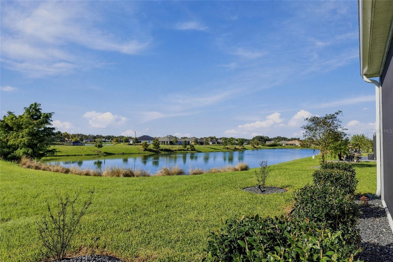 Back Yard toward pond