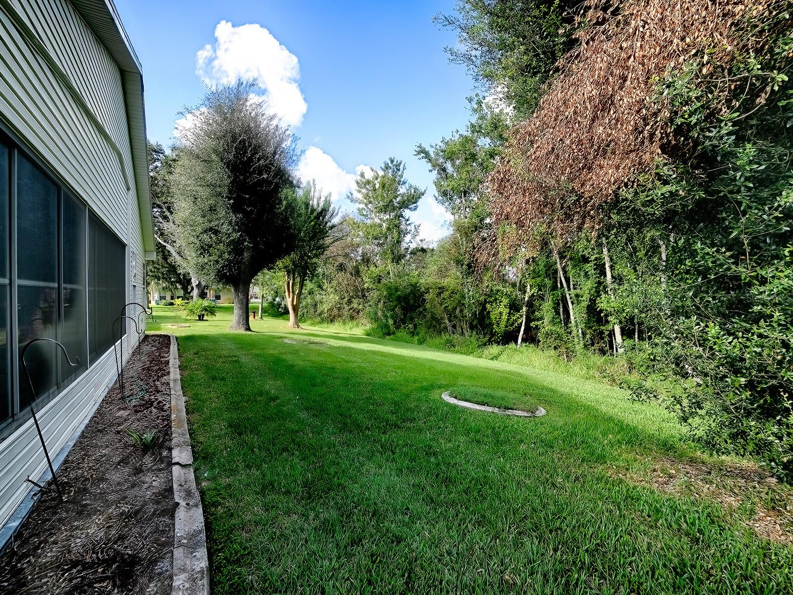 LOOK AT YOUR PRIVATE BACKYARD