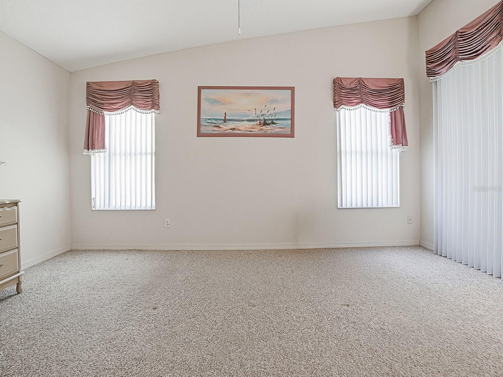 WINDOWS TO THE BACK