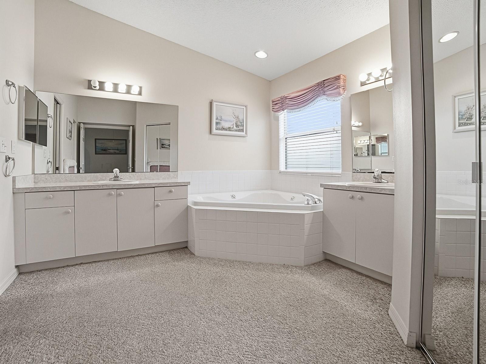 DUAL SINKS