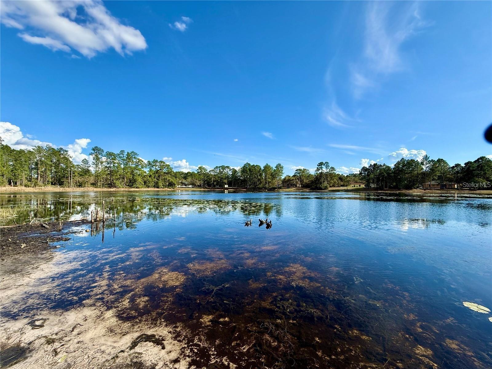 Lake Marion within community