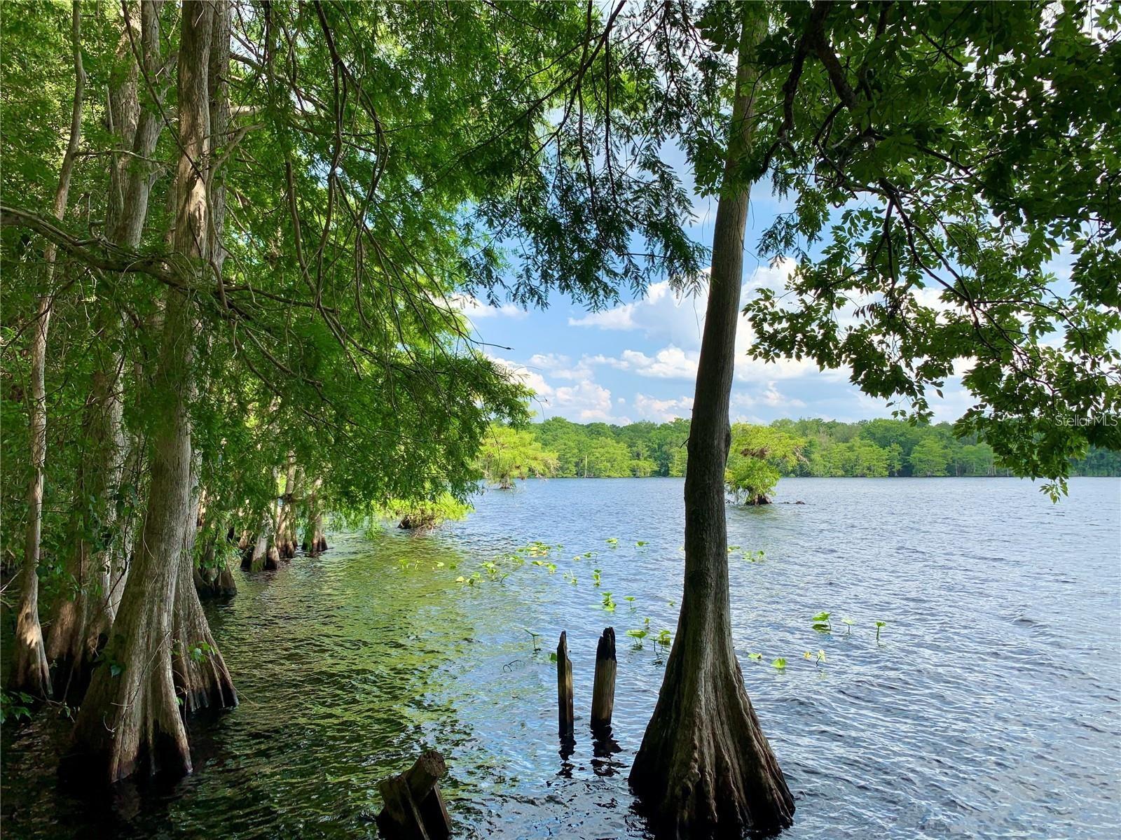 Deeded access to Lake Norris