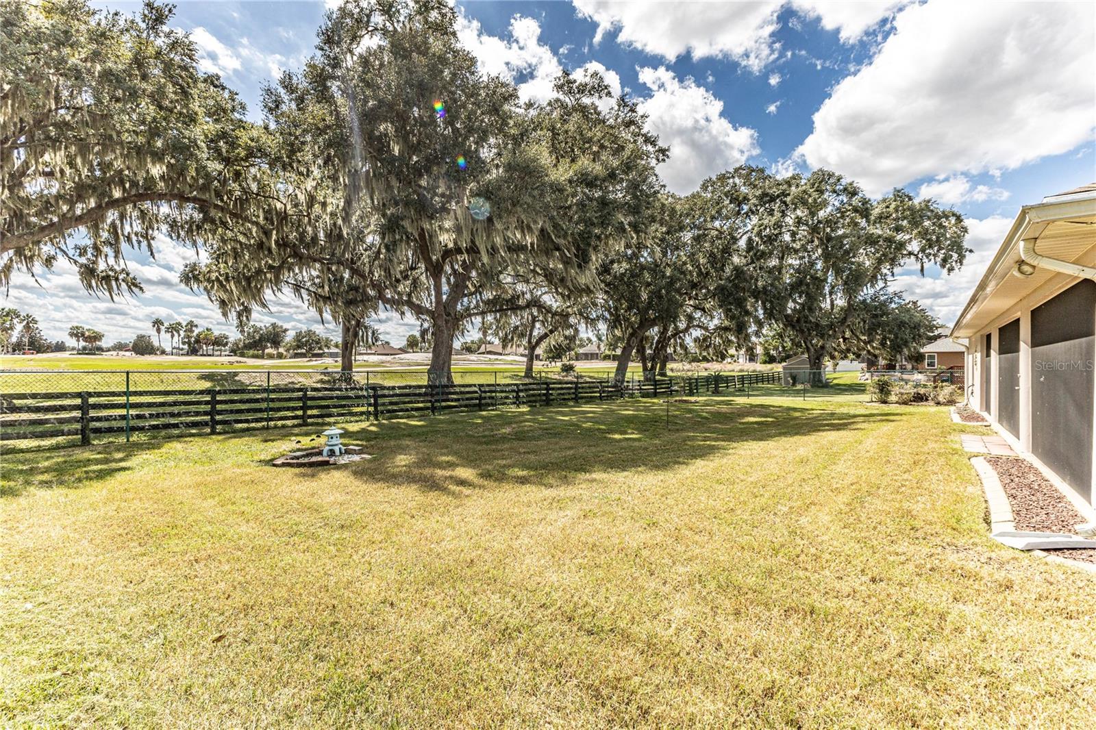 Back yard
