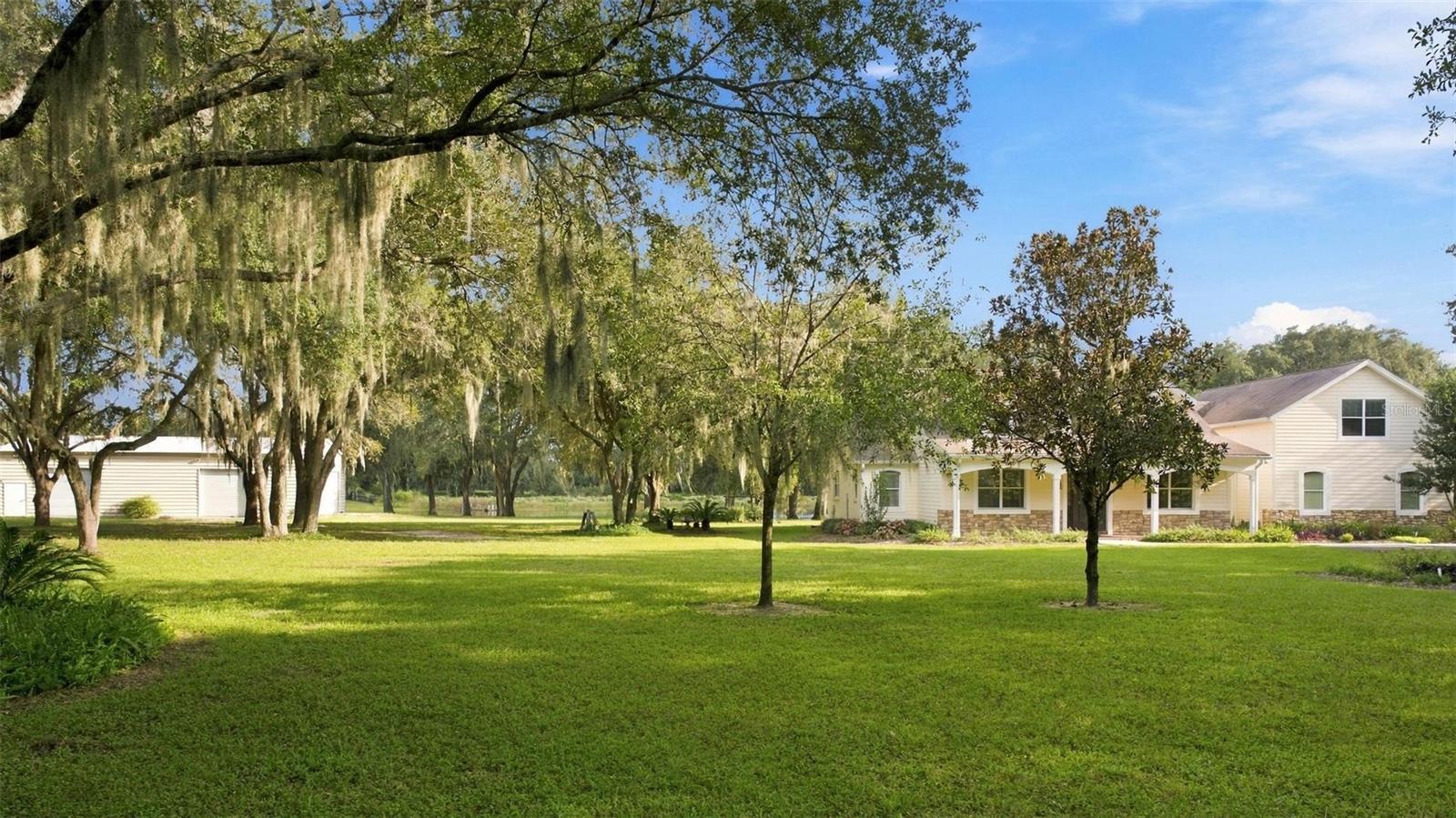 MATURE OAK TREES