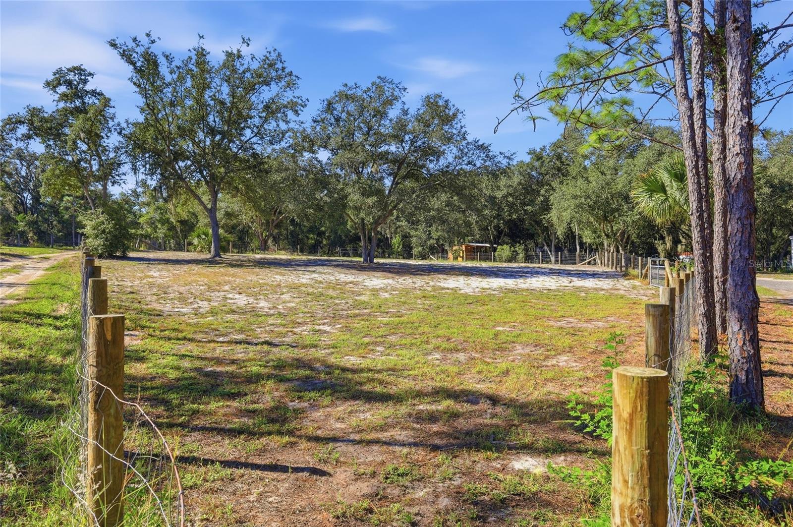 1 of 3 large fenced in areas