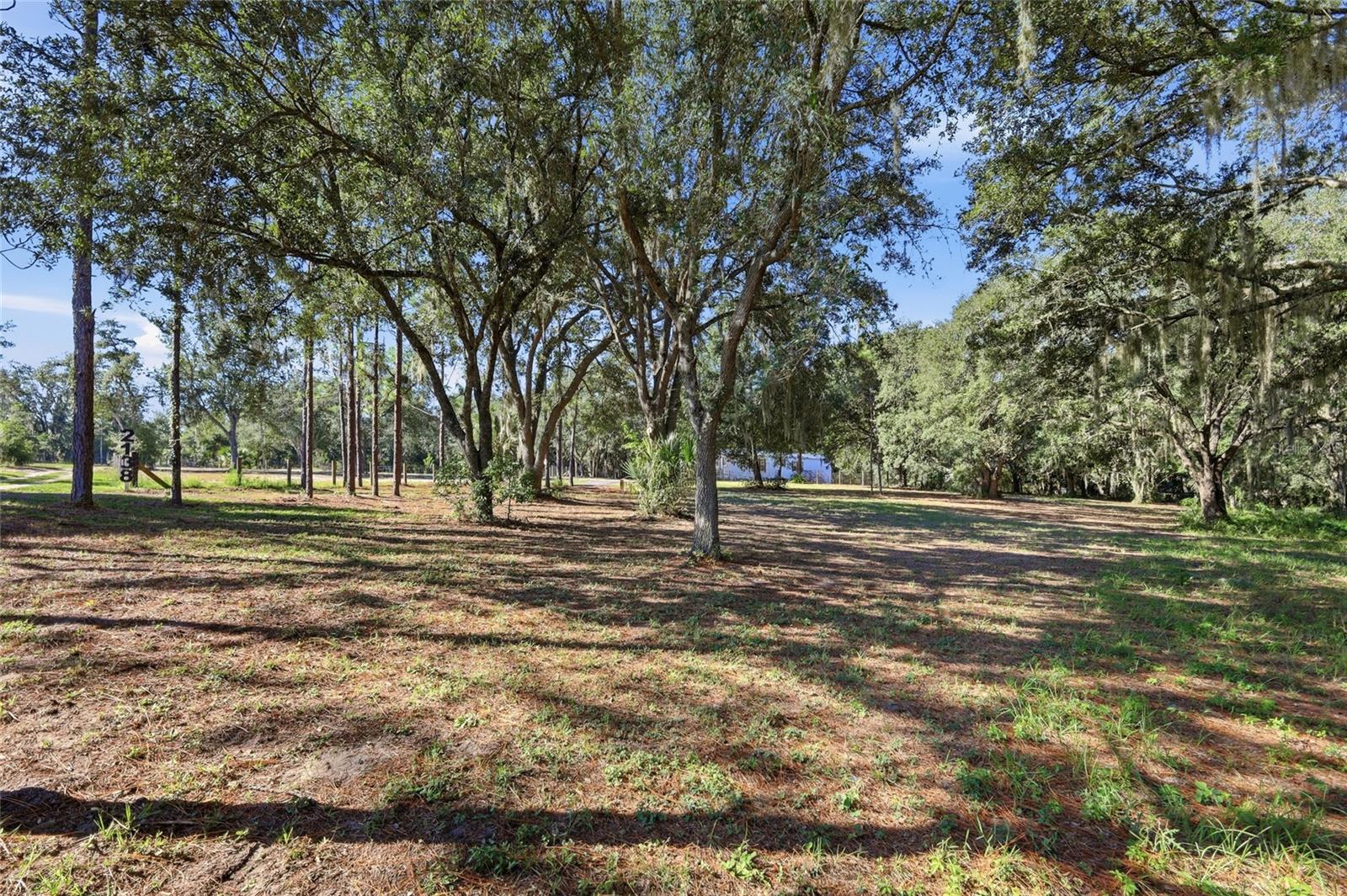Front part of property
