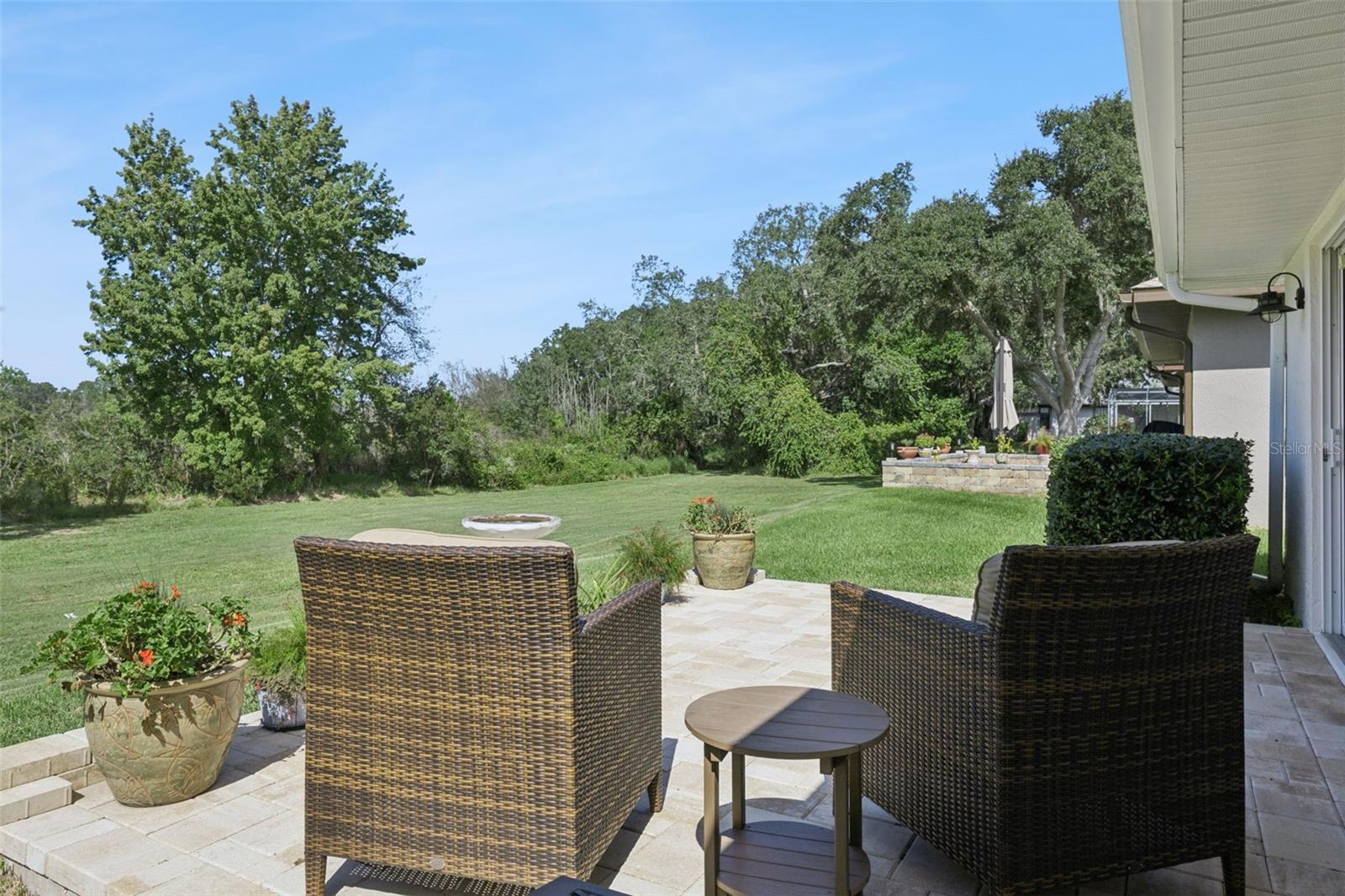 Views of the Florida greenspace
