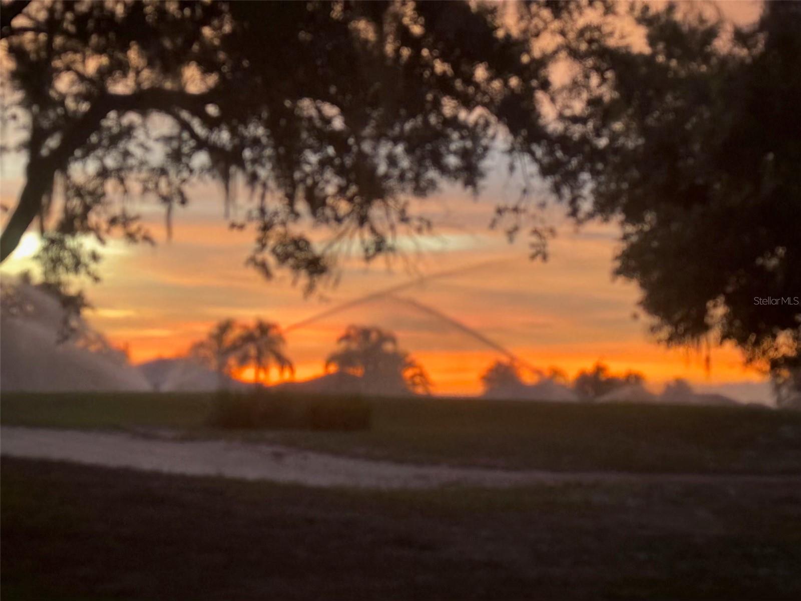 Sunsets in the backyard