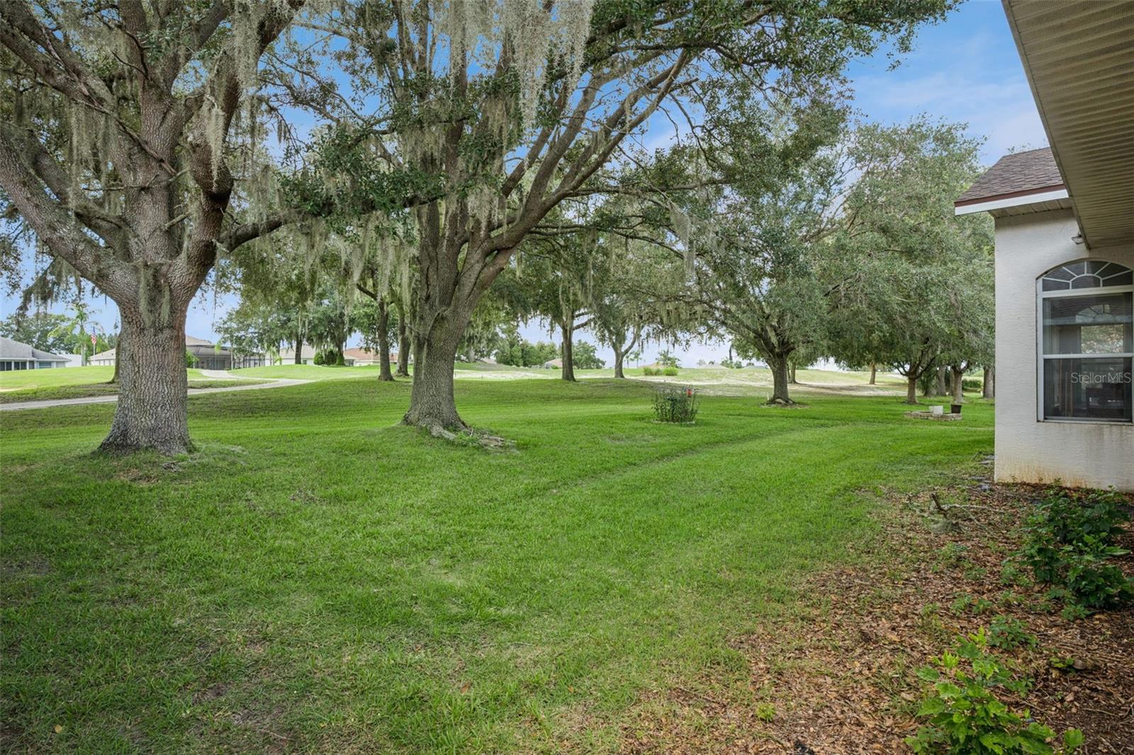 Views of the golf course