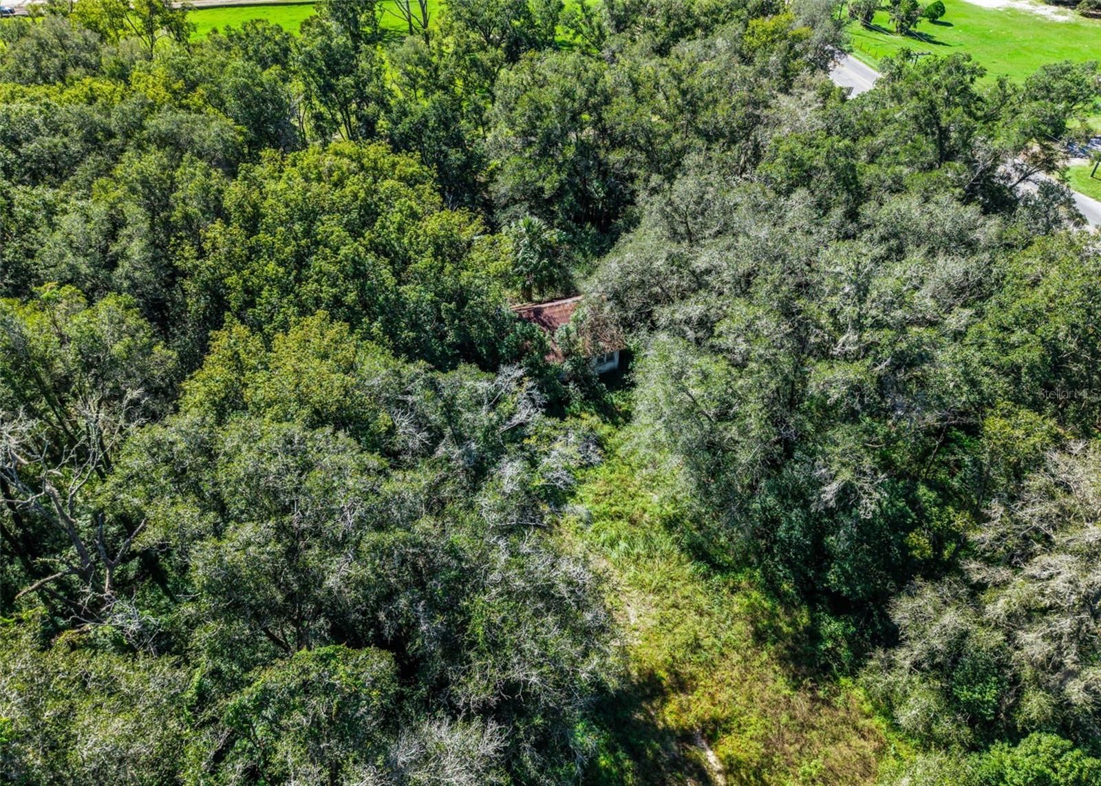 21520 COUNTY ROAD 44A, Eustis, FL 32736