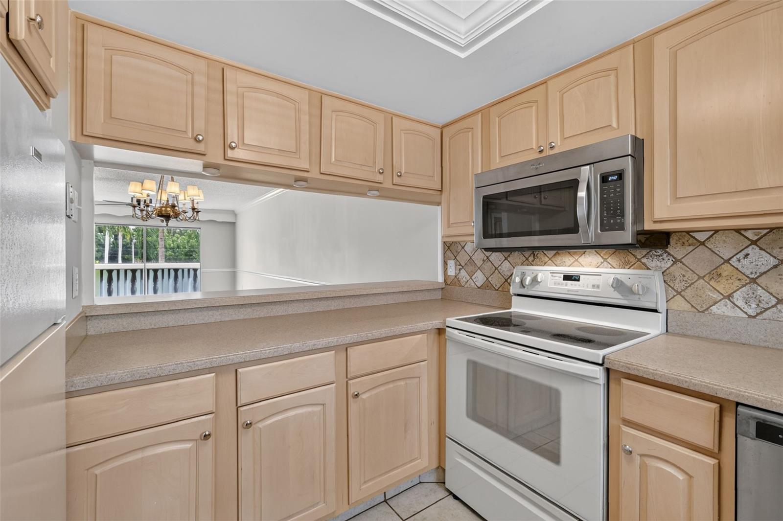 101 N GRANDVIEW STREET, #111, Mount Dora, FL 32757