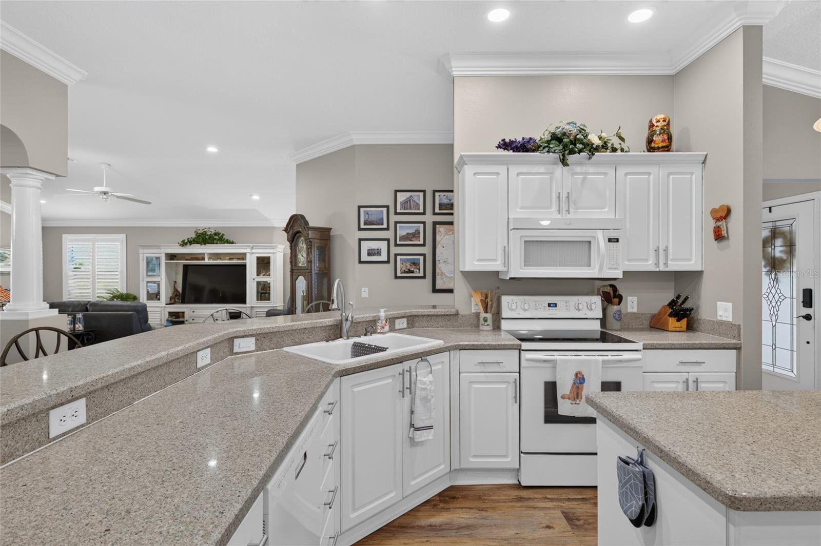 440 CARRERA DRIVE, The Villages, FL 32159
