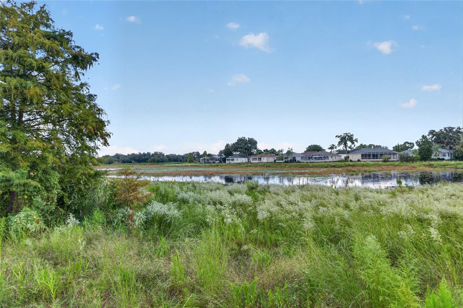 440 CARRERA DRIVE, The Villages, FL 32159