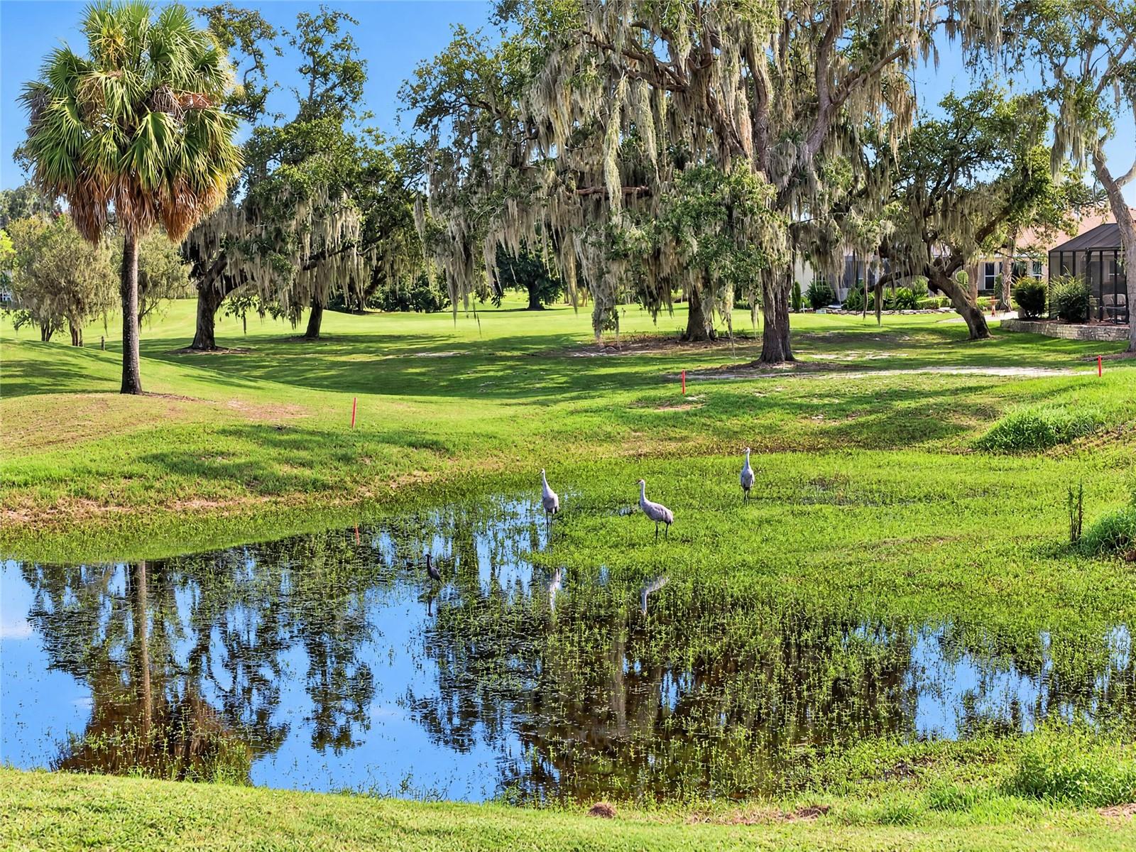 440 CARRERA DRIVE, The Villages, FL 32159