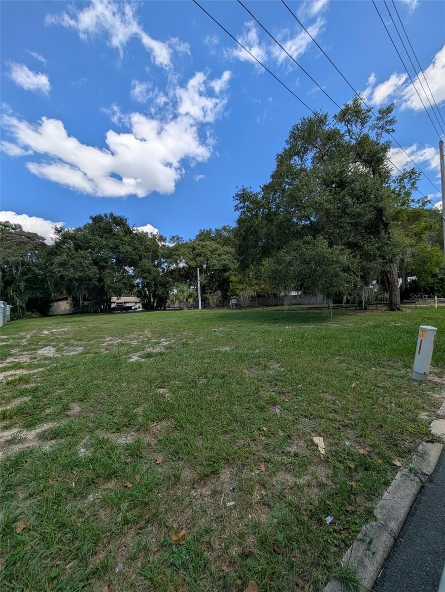 731 LIBERTY AVENUE, Mount Dora, FL 32757