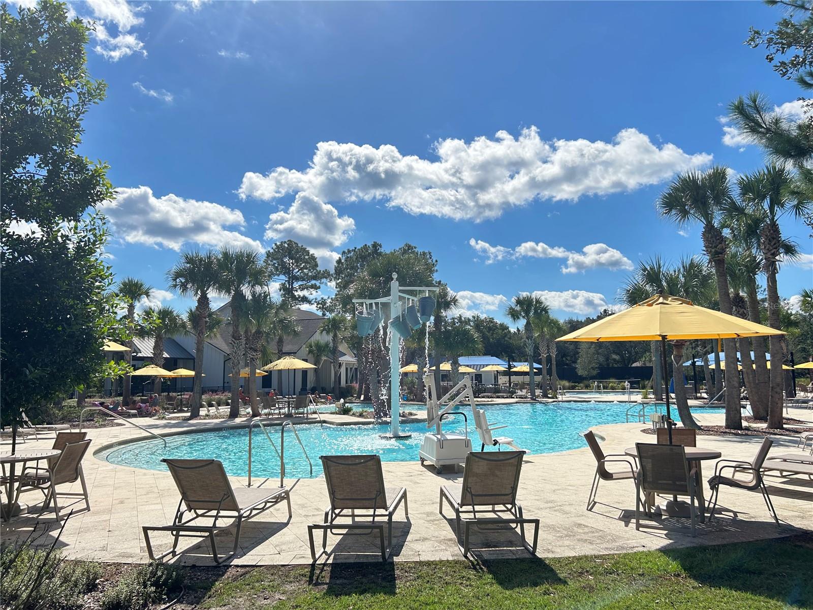 46 OSPREY MILLS LANE, St Augustine, FL 32092
