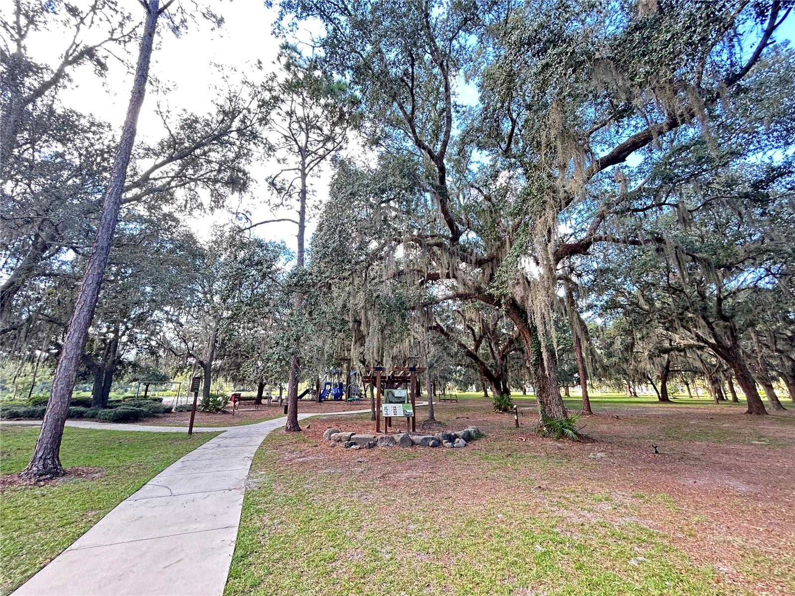 46 OSPREY MILLS LANE, St Augustine, FL 32092