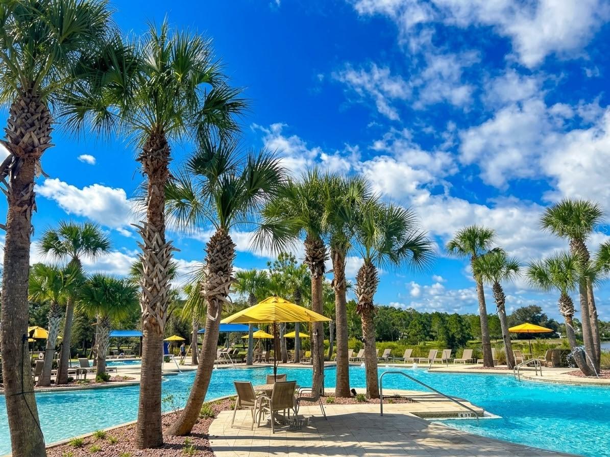 46 OSPREY MILLS LANE, St Augustine, FL 32092