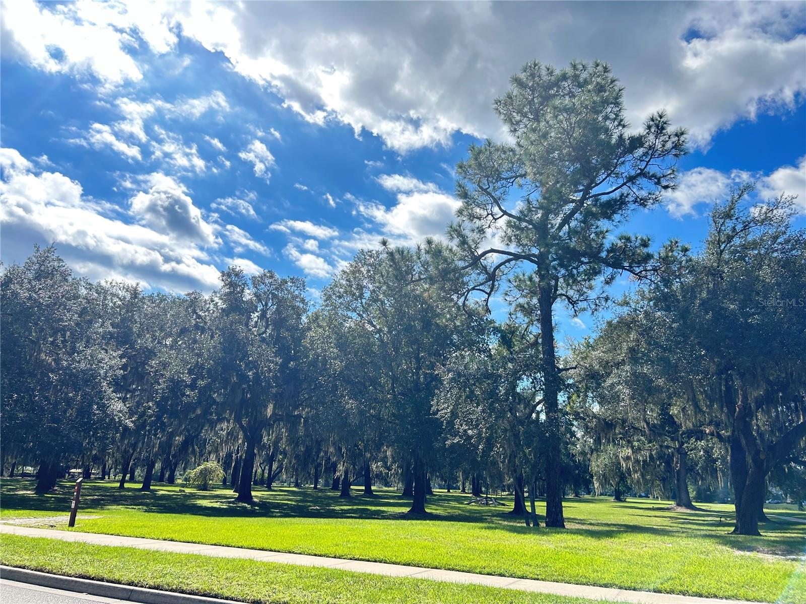 46 OSPREY MILLS LANE, St Augustine, FL 32092
