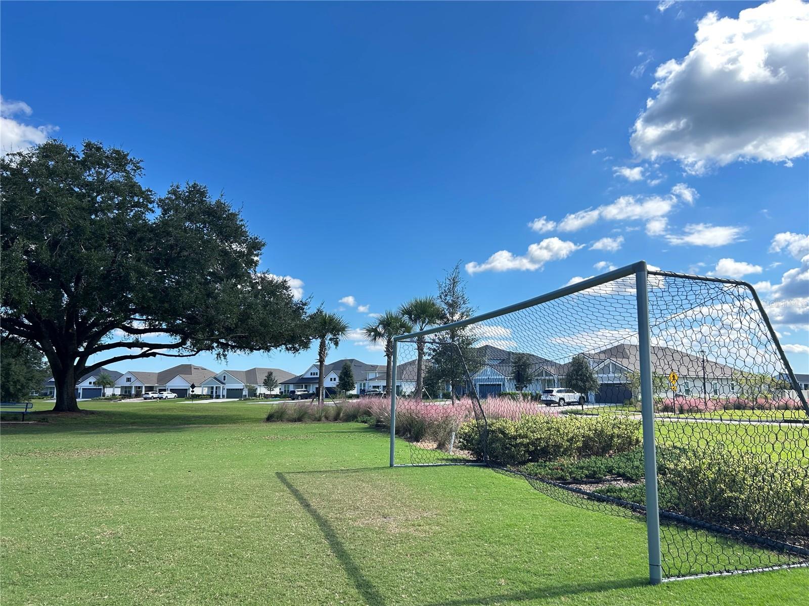 46 OSPREY MILLS LANE, St Augustine, FL 32092