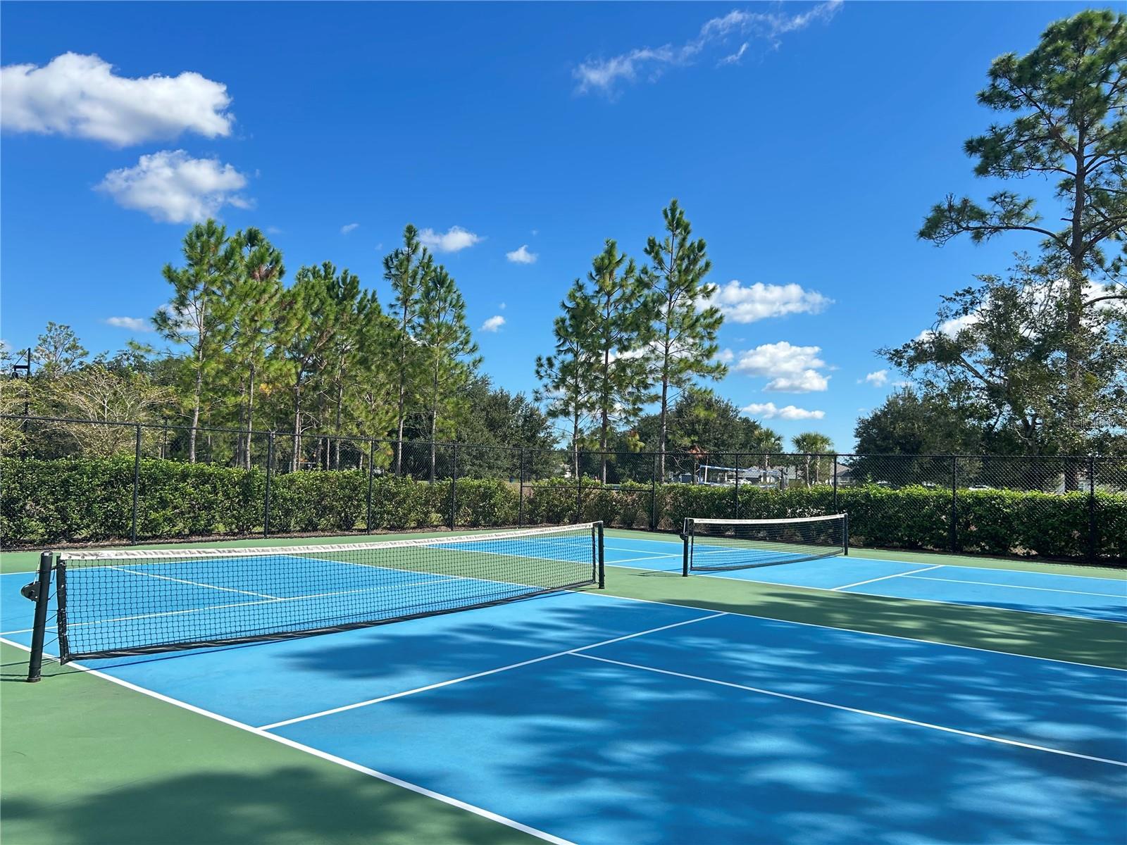 46 OSPREY MILLS LANE, St Augustine, FL 32092