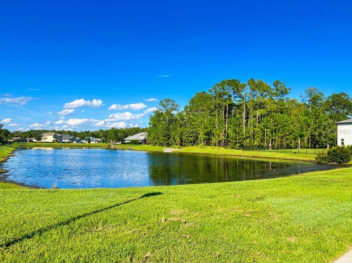 46 OSPREY MILLS LANE, St Augustine, FL 32092