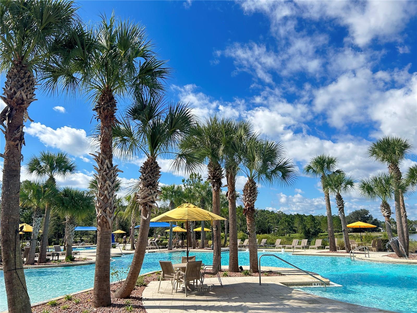 46 OSPREY MILLS LANE, St Augustine, FL 32092