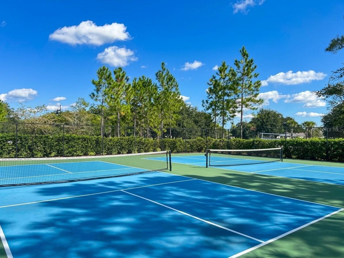 46 OSPREY MILLS LANE, St Augustine, FL 32092