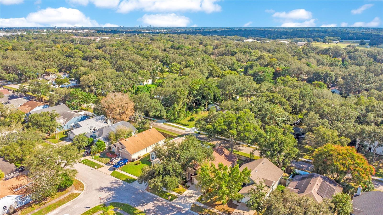 Aerial of Neighborhood