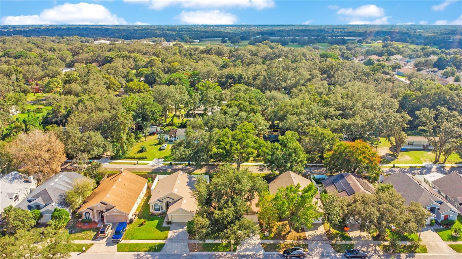 Aerial of Neighborhood
