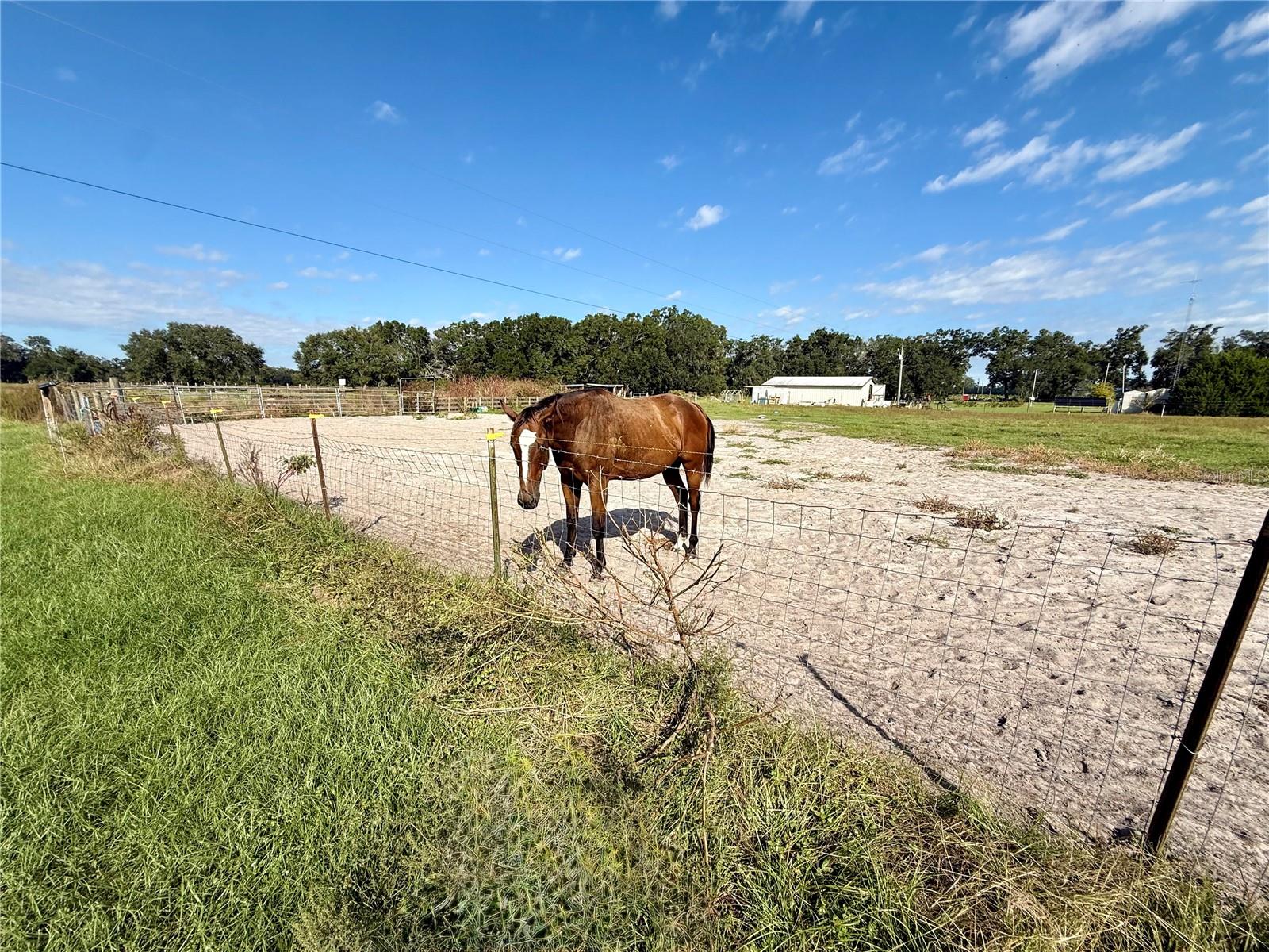 23667 81ST ROAD, O'brien, FL 32071