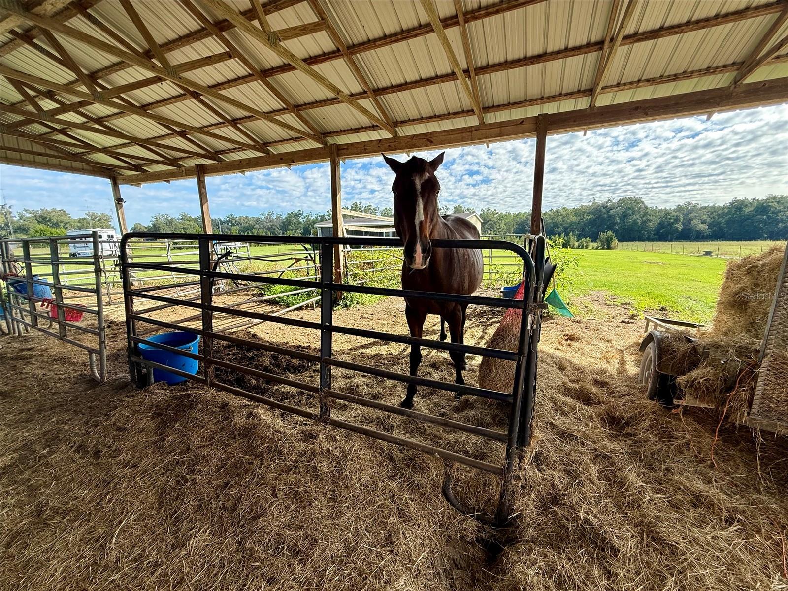 23667 81ST ROAD, O'brien, FL 32071