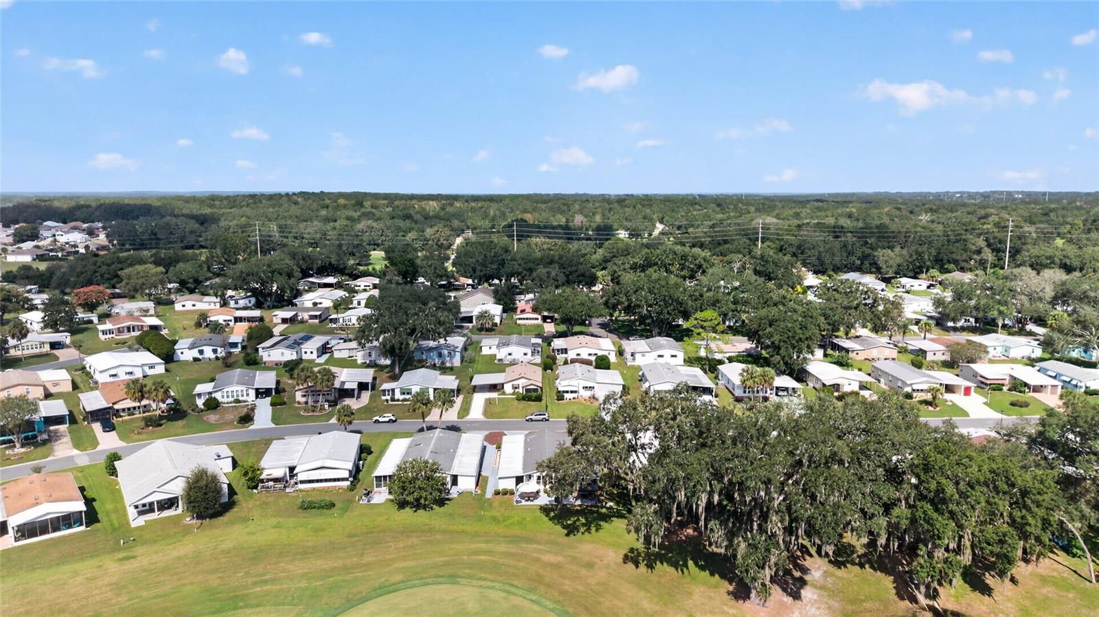 718 ORCHID STREET, Lady Lake, FL 32159