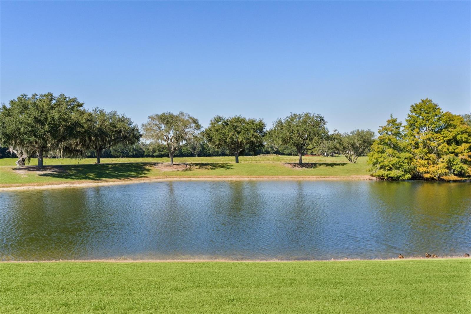2908 MANOR DOWNS, The Villages, FL 32162