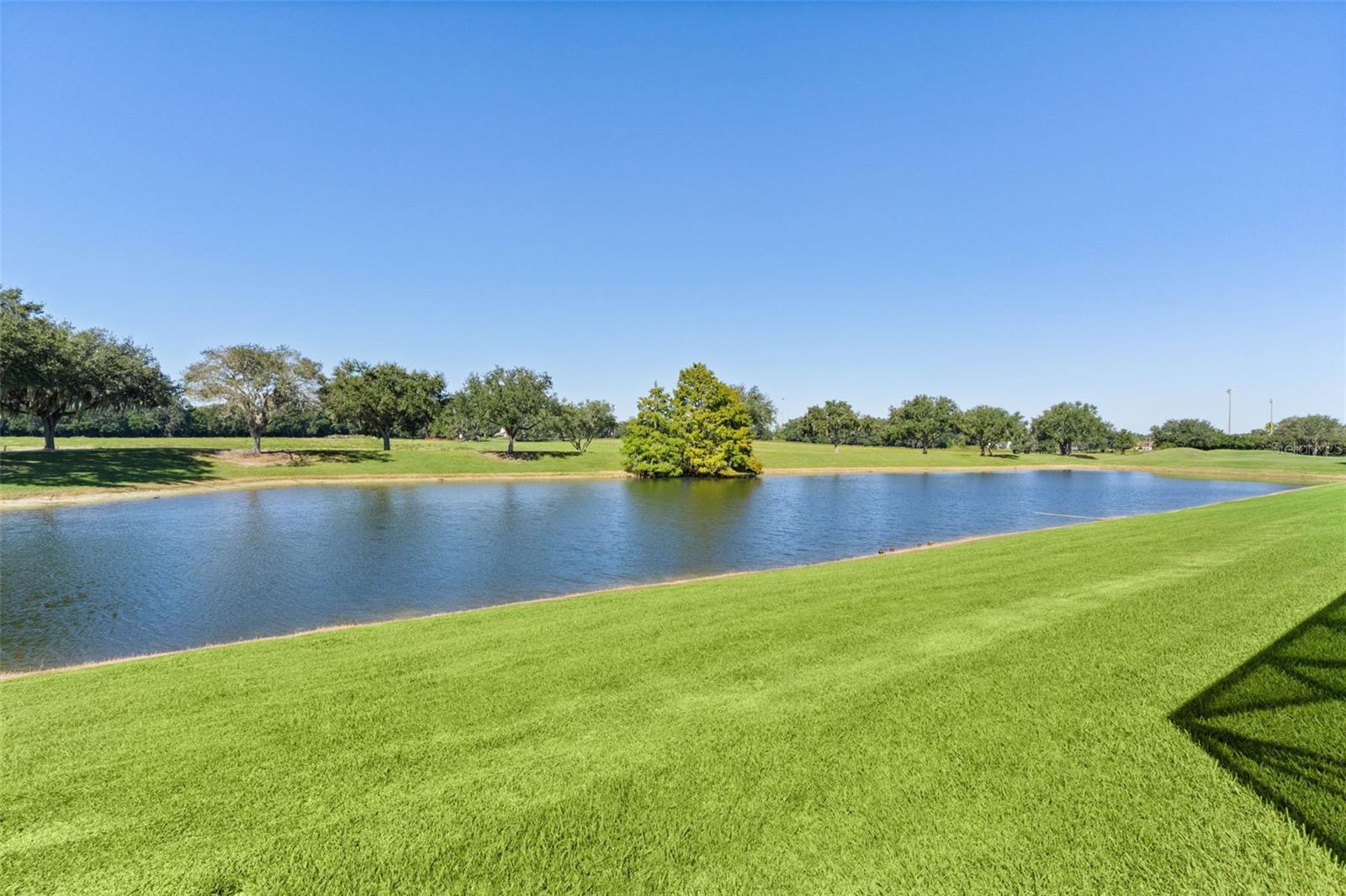 2908 MANOR DOWNS, The Villages, FL 32162