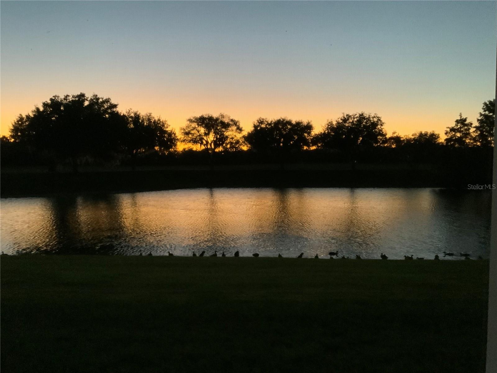 2908 MANOR DOWNS, The Villages, FL 32162