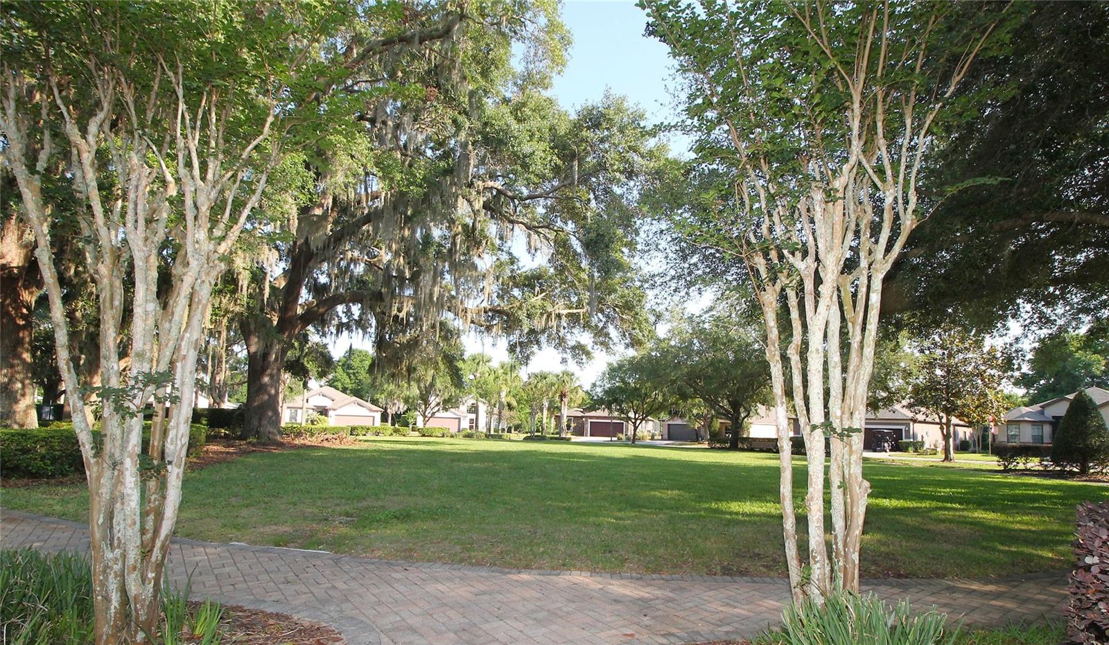 Park on Lago Loop