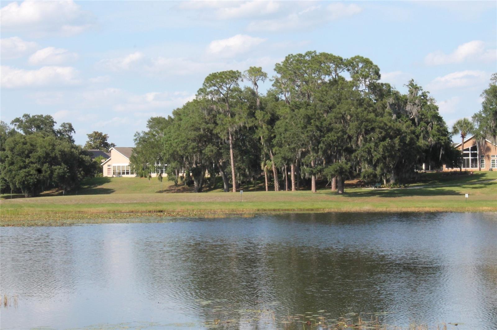 516 LAGO LOOP, Davenport, FL 33837